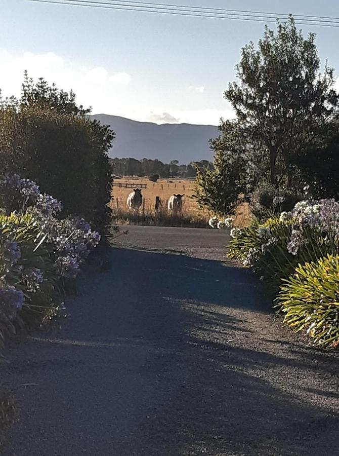 15 On Wards Bed & Breakfast Greytown Eksteriør bilde